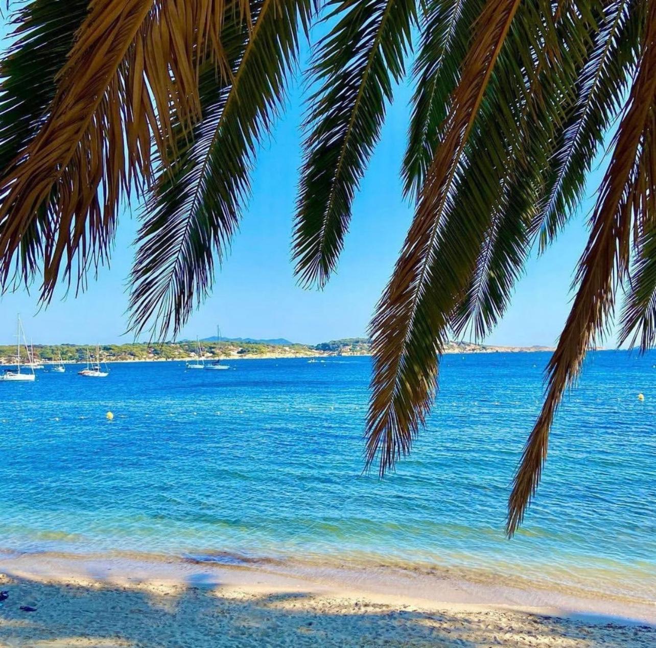 Logement Vue Mer Splendide - Situe A 50 Metres Du Bord De Mer Et 2 Minutes Des Plages - Bandolina Exterior photo