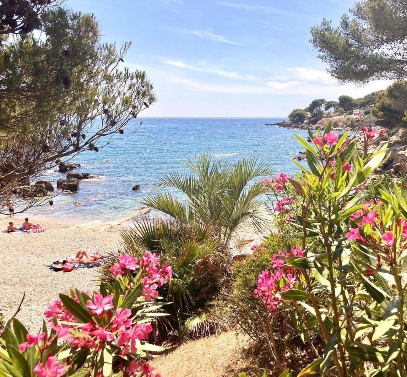 Logement Vue Mer Splendide - Situe A 50 Metres Du Bord De Mer Et 2 Minutes Des Plages - Bandolina Exterior photo